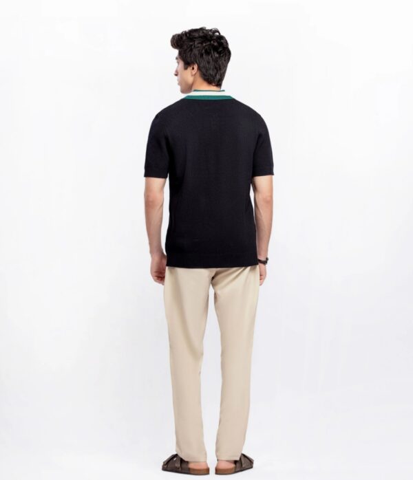 Regular Collar Knitted Polo